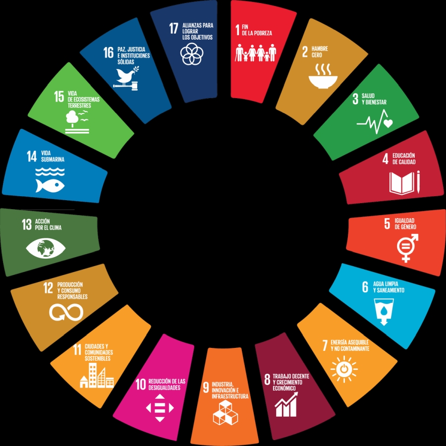 Diagrama con bloques indetificativos de los Objetivos de Desarrollo Sostenible.